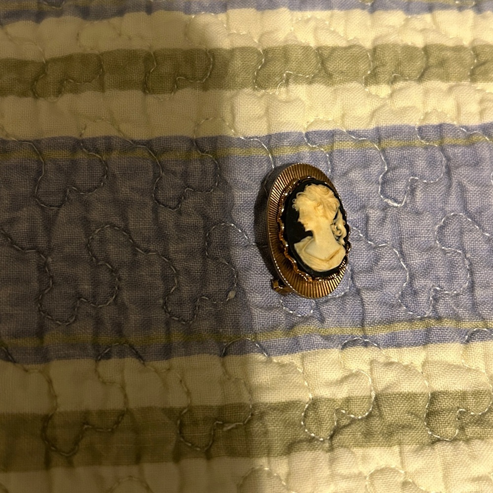 Vintage Cameo Brooch (a2)